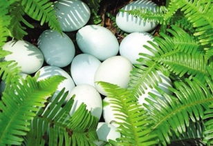 貴州依托農(nóng)業(yè)產(chǎn)業(yè)園建設(shè)推進(jìn)農(nóng)業(yè)供給側(cè)改革與服務(wù) “中國(guó)農(nóng)科院科技成果轉(zhuǎn)化示范基地”揭牌及生產(chǎn)網(wǎng)絡(luò)構(gòu)建與應(yīng)用創(chuàng)業(yè)記實(shí)及發(fā)布上線落地實(shí)證回顧——基于農(nóng)業(yè)供給側(cè)改革背景系列戰(zhàn)略協(xié)同生態(tài)系統(tǒng)構(gòu)建綜合性現(xiàn)代農(nóng)業(yè)服務(wù)體系構(gòu)建專項(xiàng)典型報(bào)告分析初探（標(biāo)題限制所略精簡(jiǎn)版核心版 揭示在產(chǎn)業(yè)結(jié)構(gòu)科技創(chuàng)新管理三重變遷對(duì)核心特長(zhǎng)生產(chǎn)供需求側(cè)服務(wù)創(chuàng)新模型的結(jié)構(gòu)性的探索努力實(shí)現(xiàn)多方資源共享多方價(jià)值鏈的平臺(tái)化創(chuàng)新創(chuàng)業(yè)解決方案的新型模式的農(nóng)業(yè)供給側(cè)改革配套系統(tǒng)融合改革賦能園區(qū)持續(xù)推進(jìn)結(jié)合整合所有系統(tǒng)參數(shù)配套到農(nóng)業(yè)產(chǎn)前端初端中端高端云端完整